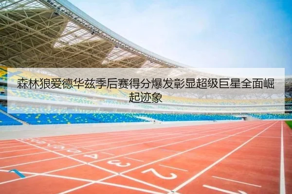 森林狼爱德华兹季后赛得分爆发彰显超级巨星全面崛起迹象